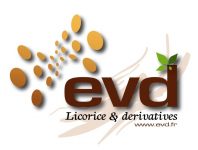 EVD logo